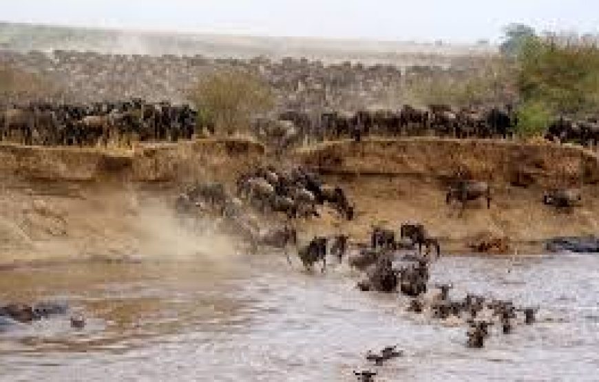 4 days Naivasha Mara in Kenya.