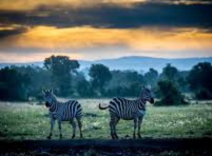 1 days Sweetwater in Kenya.