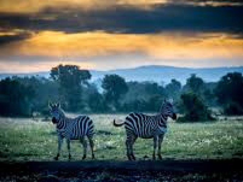 1 days Sweetwater in Kenya.