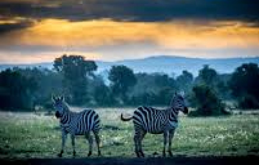 1 days Sweetwater in Kenya.