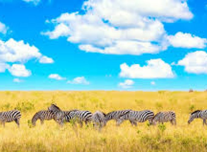 4 days Naivasha Mara in Kenya.