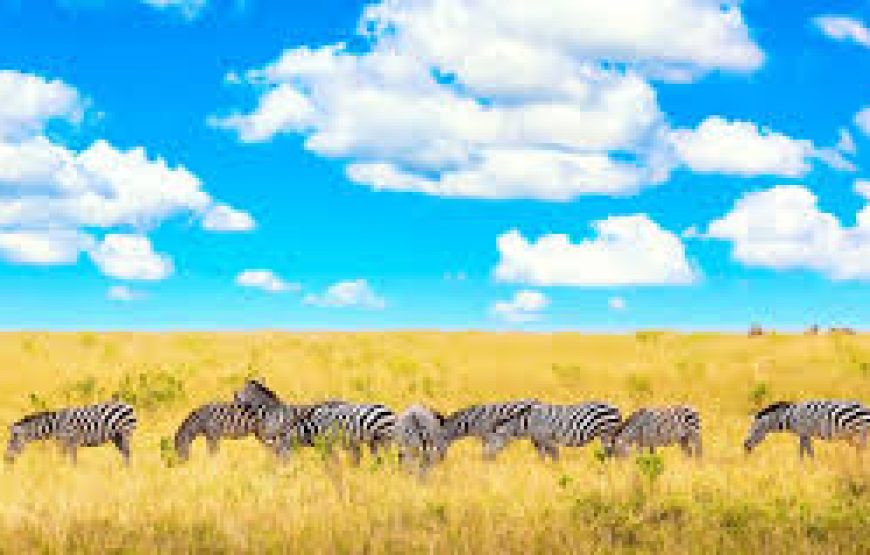 3 Days 2 Nights Masai Mara Budget Safari in Kenya.