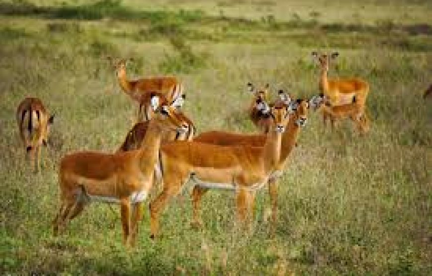 A Hiking Day to hell`s Gate National Park in Kenya.