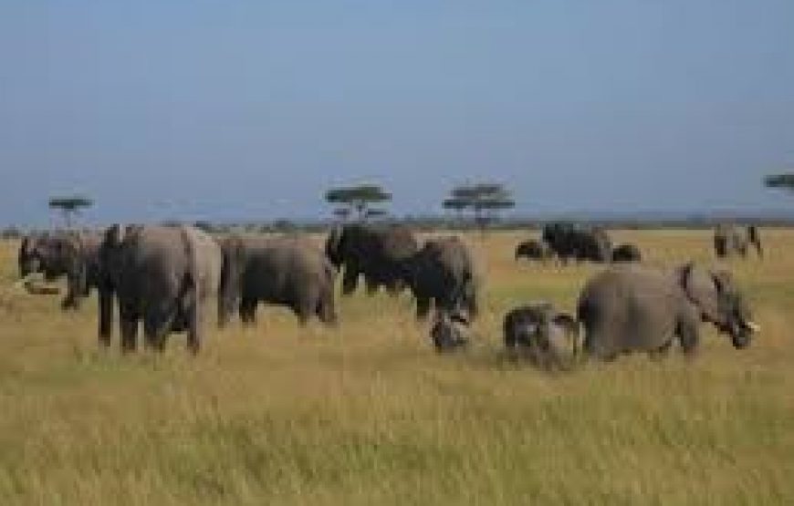 2 Days to Lake Bogoria National Reserve in Kenya.