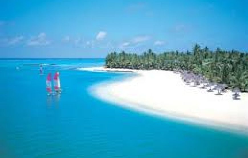 Mombasa city a Day tour  in Kenya.