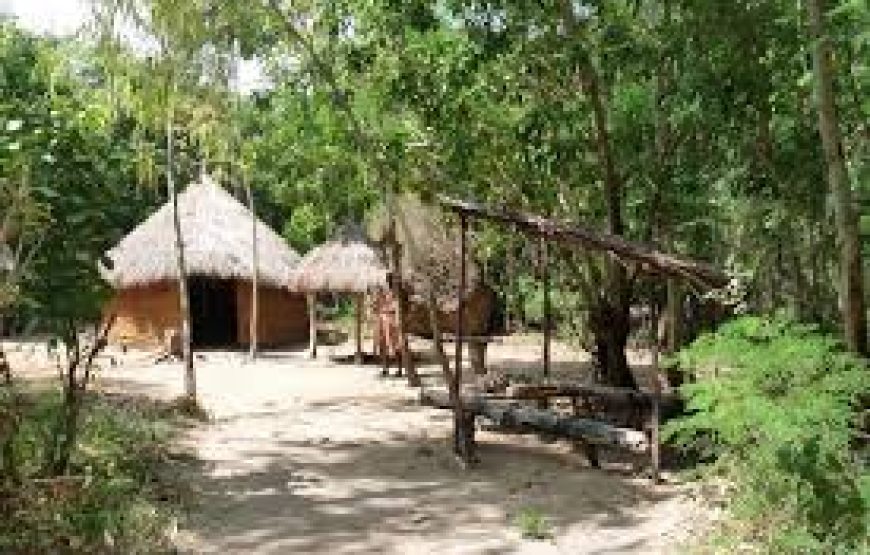 Ngomongo village in Mombasa Kenya.