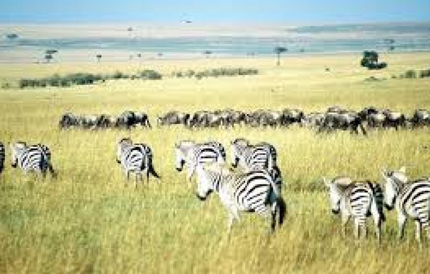 2 Days to Lake Bogoria National Reserve in Kenya.