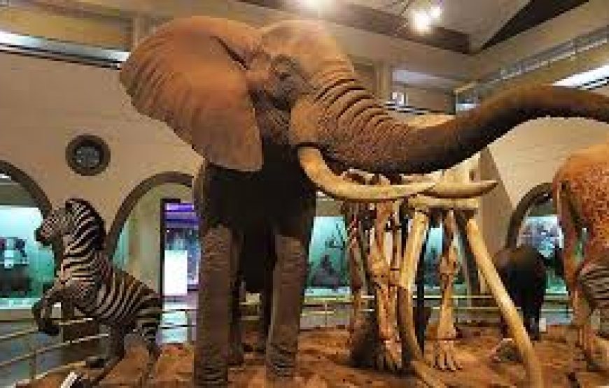 Nairobi National Museum in Kenya.