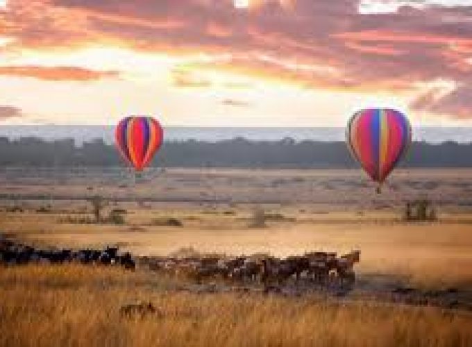 3 Day to Masai Mara Balloon Safari in Kenya.