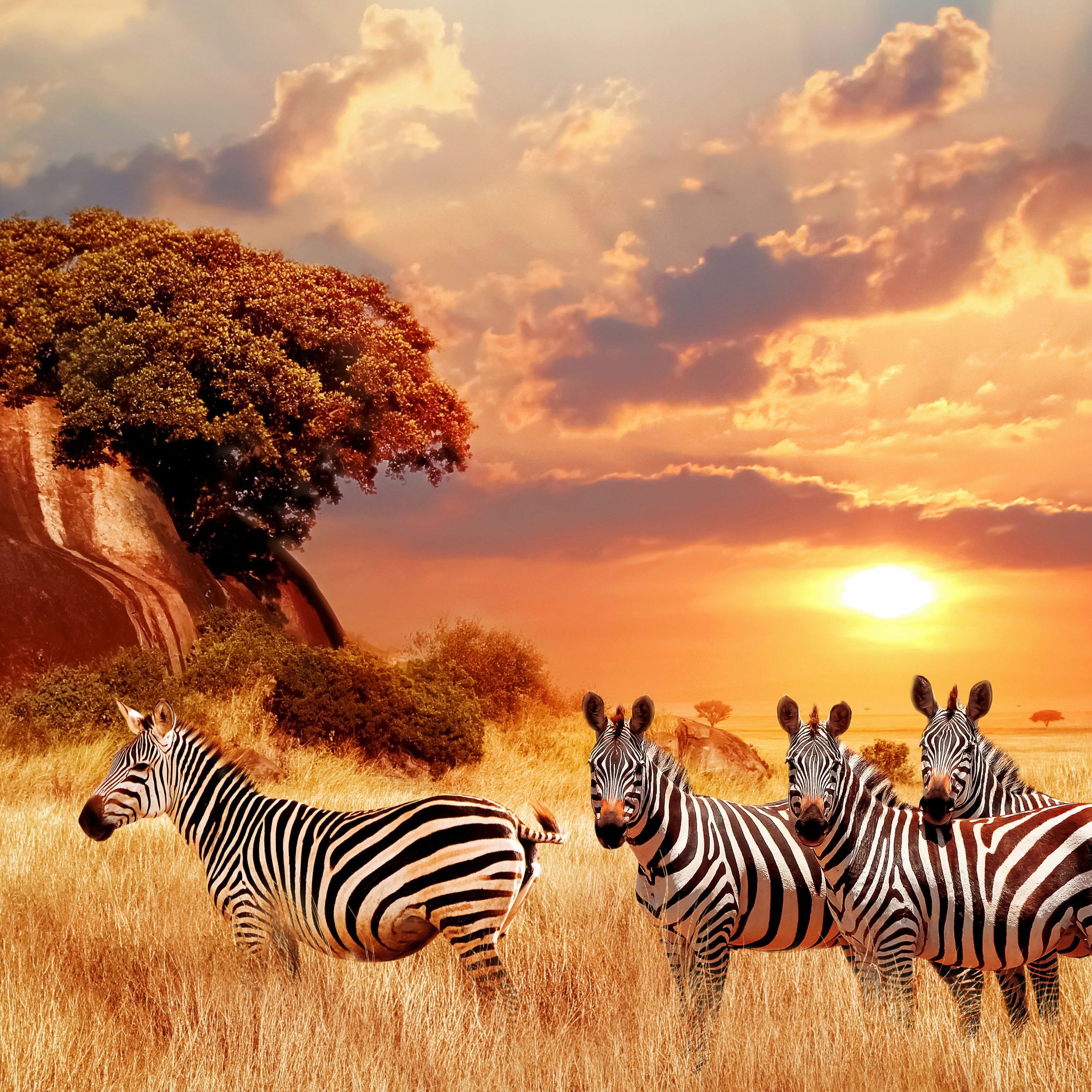 Day 3: Masai Mara - Nairobi