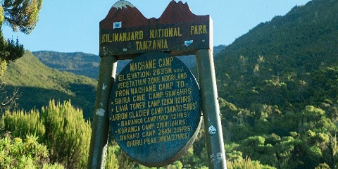Day 13 – Machame Gate to Machame Camp (1490m → 2980m)