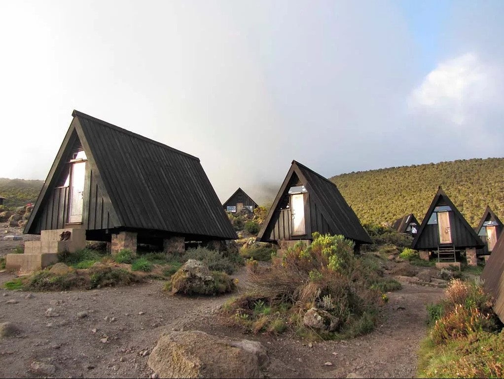 Day 6: Horombo Hut (3,720 m) → Marangu Gate (1,828 m) → Moshi