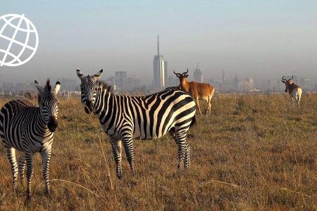 Nairobi National Park in Nairobi Kenya.