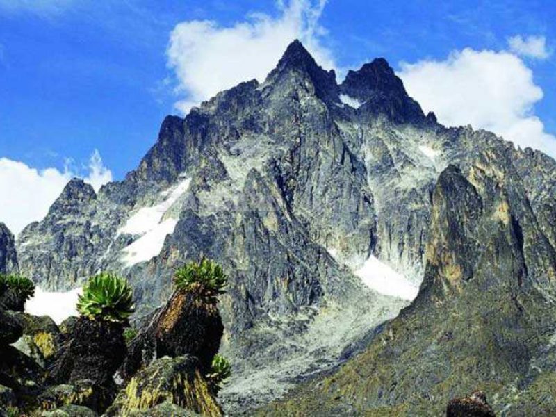A Trekking day to Mt. Kenya National Reserve.