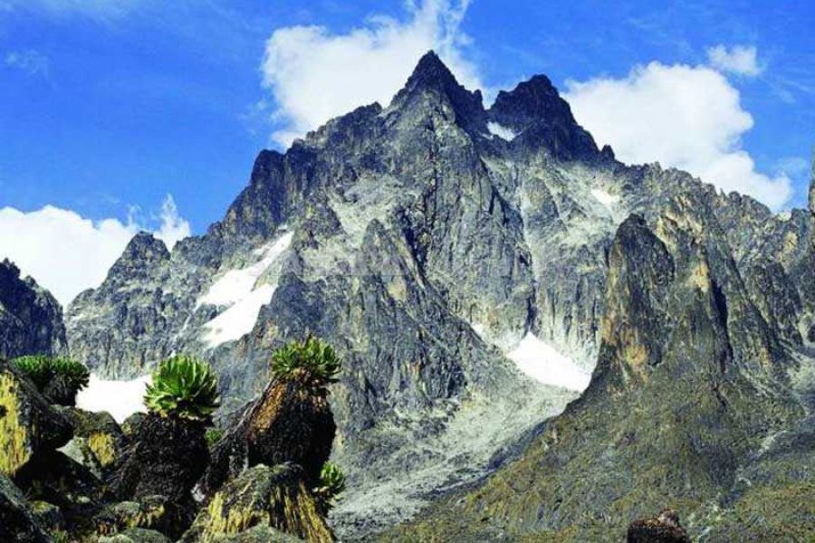 7 Days Mt. Kenya Climbing, Timau- Chogoria Route