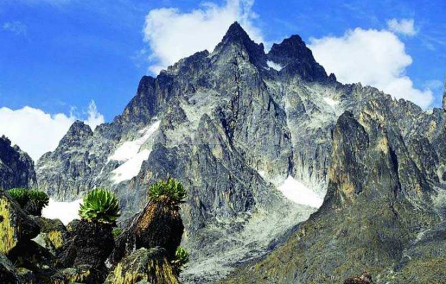 A Trekking day to Mt. Kenya National Reserve.