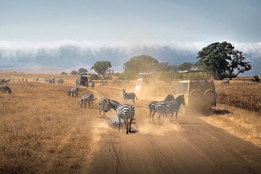 Day 8: Game Drive to Ngorongoro Crater