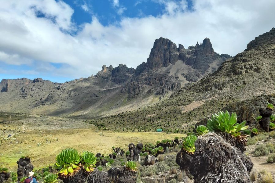 Mt Kenya Climb Sirimon Route