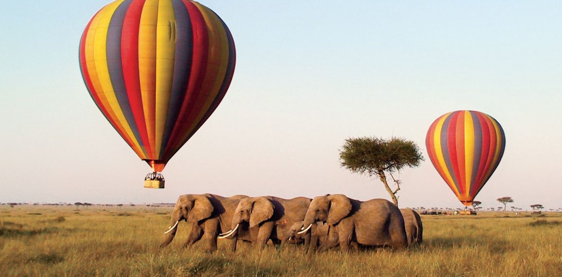 Travel with the Best Africa Tour safaris
