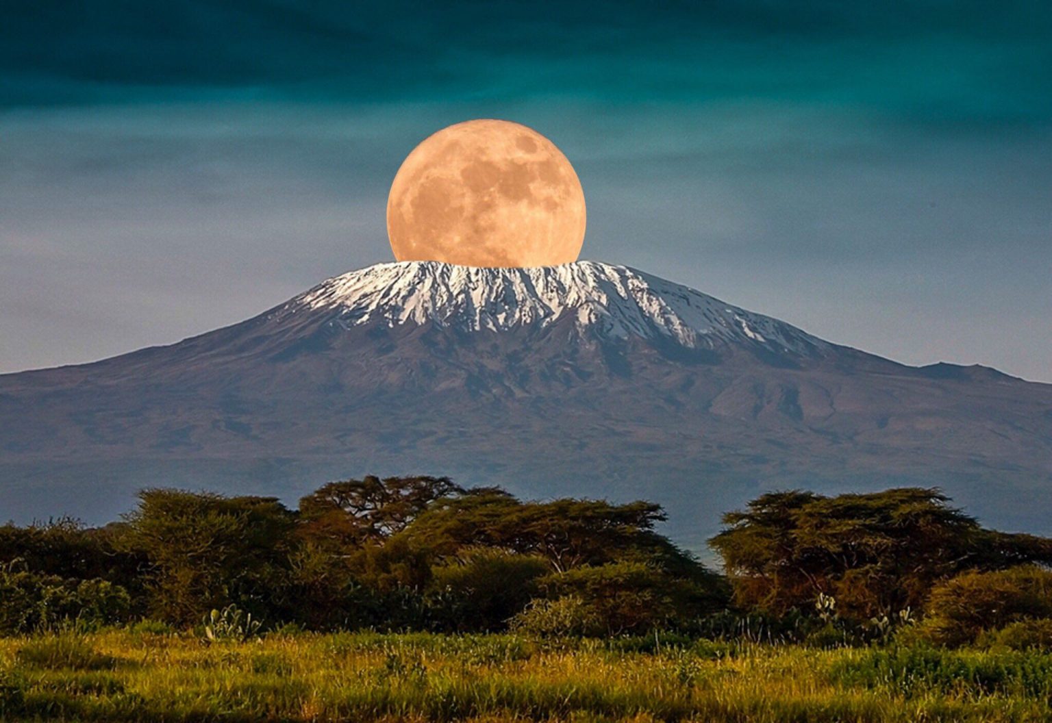 Travel with the Best Africa Tour safaris