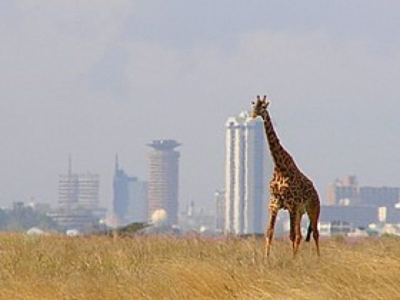 Nairobi National Park in Nairobi Kenya.