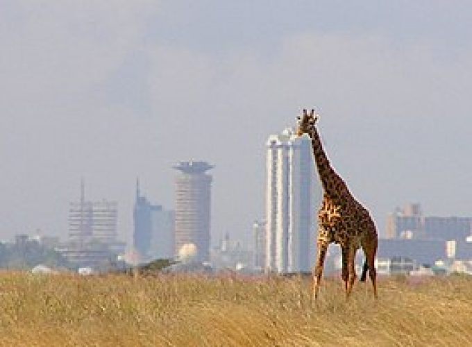 Nairobi National Park in Kenya.