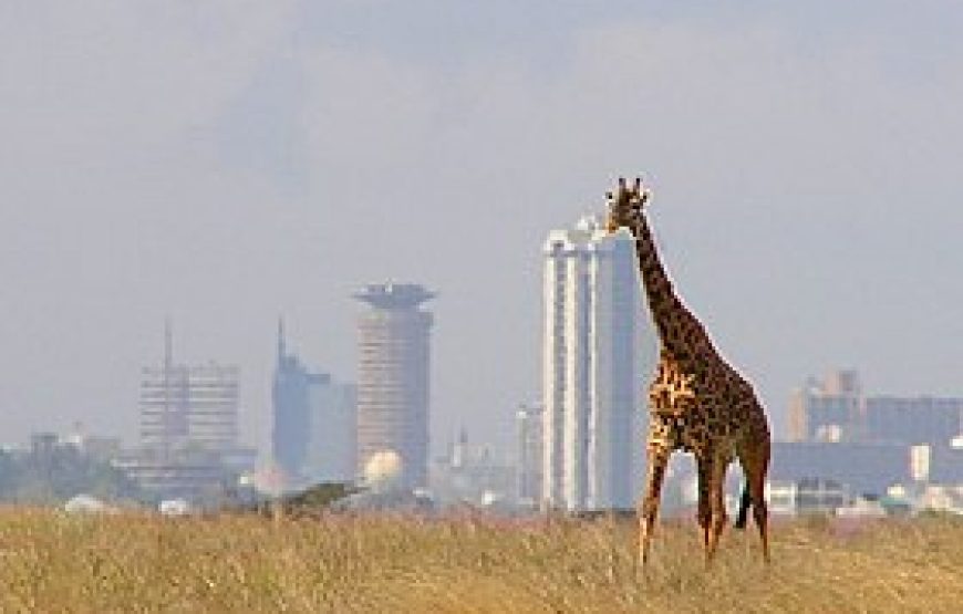 Nairobi National Park in Kenya.