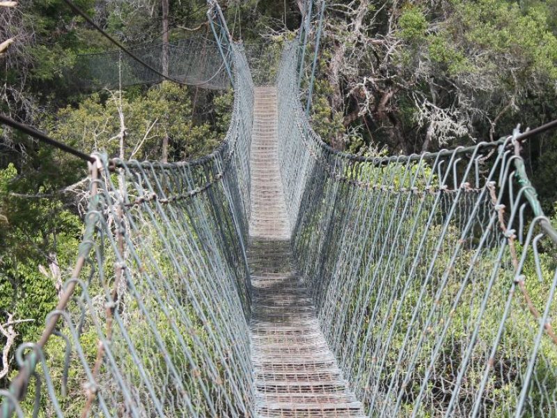 Romantic Valentine Deals 