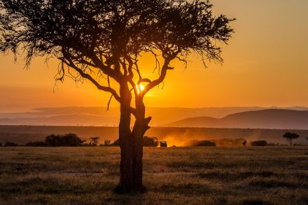 Valentine Holidays to Maasai Mara