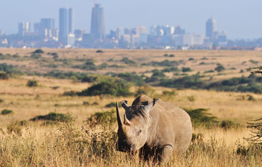 Nairobi National Park in Kenya.