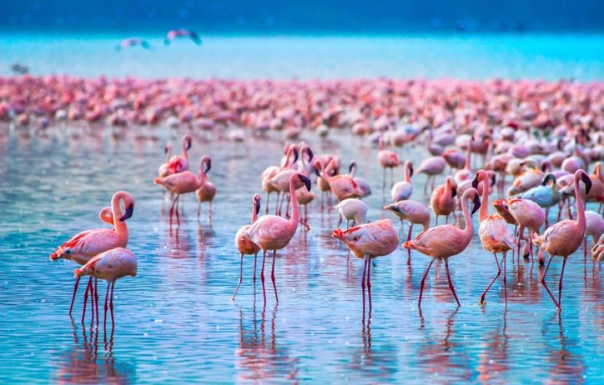 3 Days to Lake Naivasha and Hells Gate Tour in Kenya.