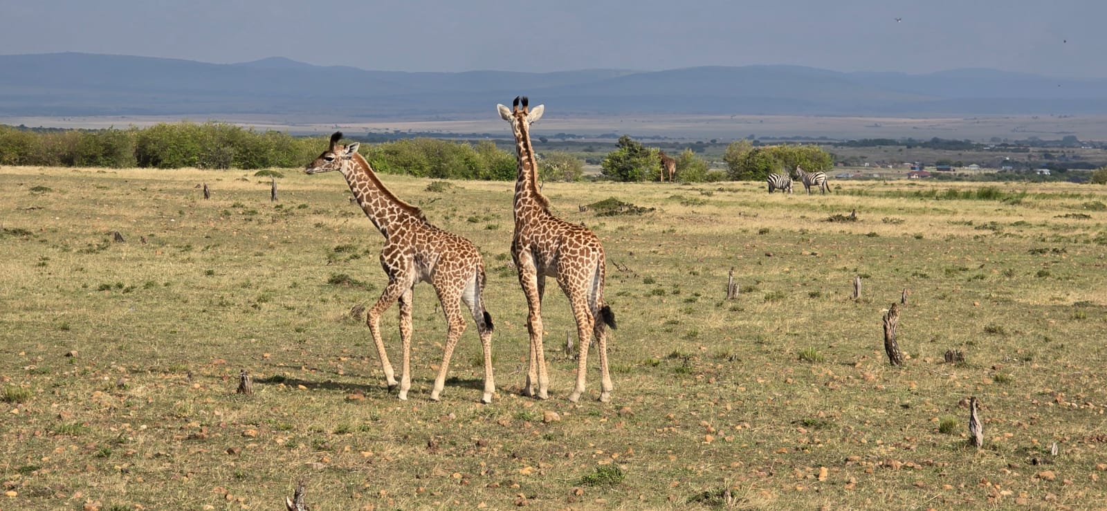 Day 6: Lake Elementaita – Masai Mara