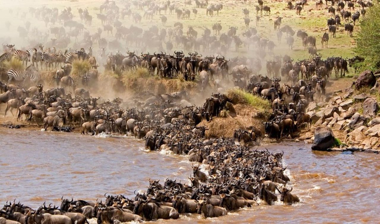 Day 6: Full Day in Serengeti National Park