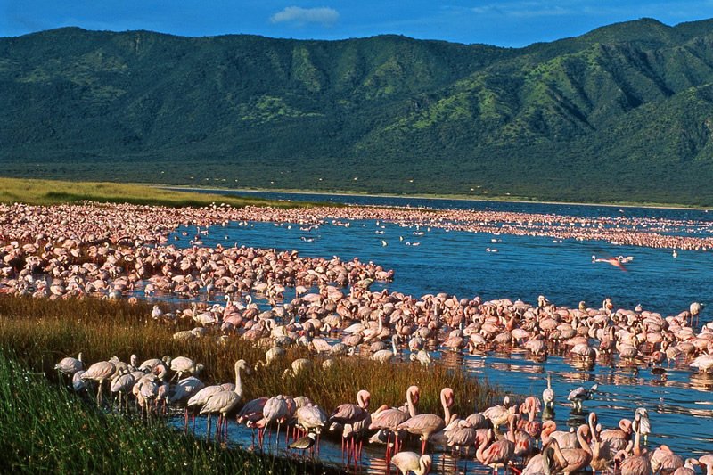Day 5: Samburu Natioanl Park – Lake Bogoria
