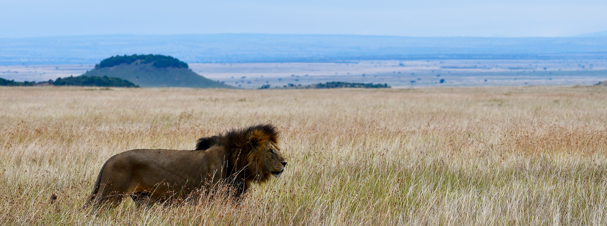Day 8, 9, 10: Masai Mara